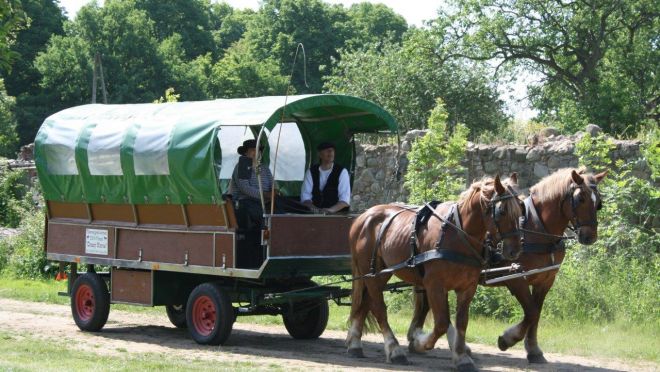 Unterhaltungsprogramm: Ponyreiten und Kutschfahrten