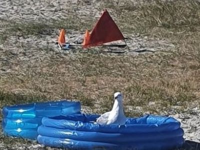 In der Ostsee ist zuviel los